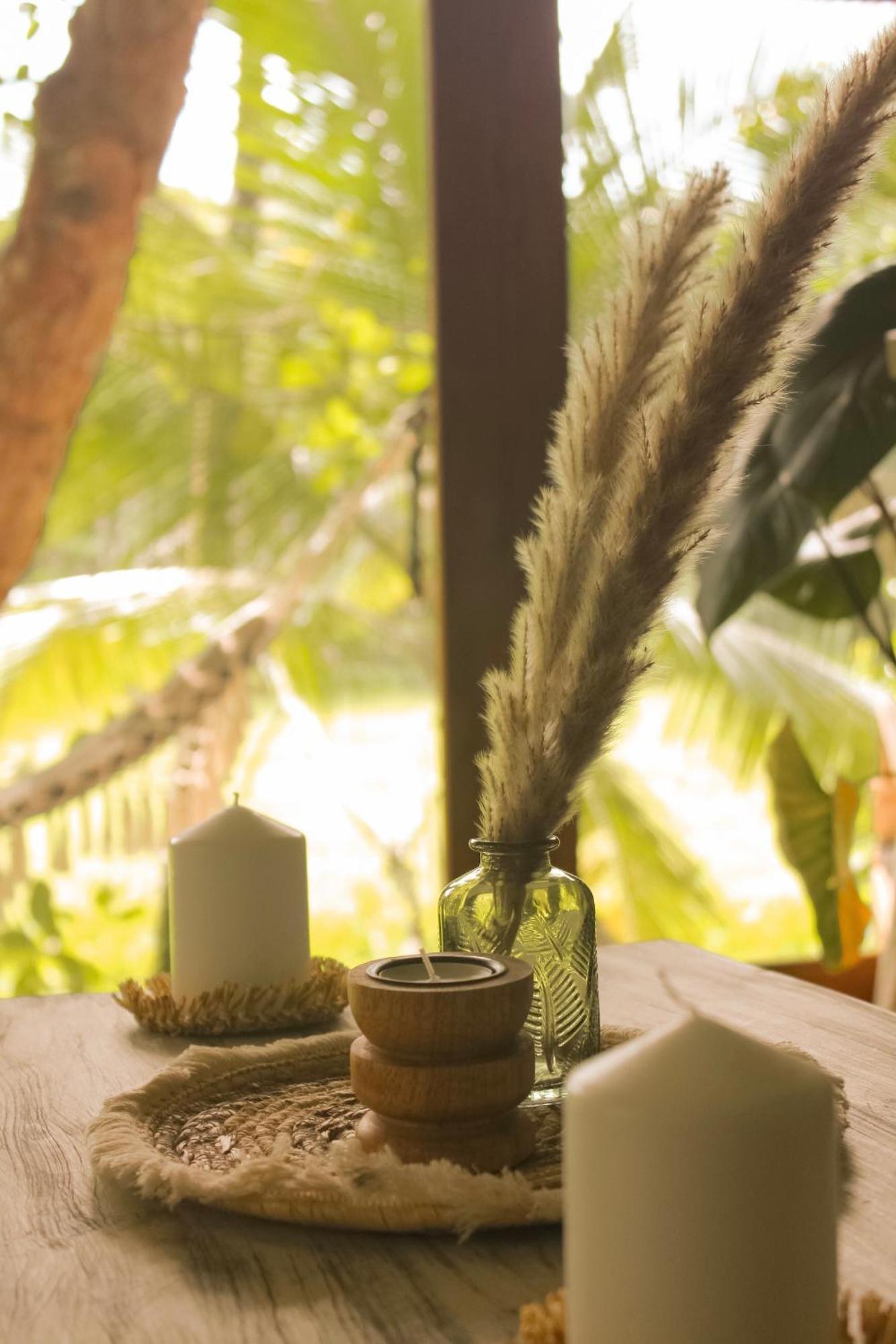 The Jungle Loft Galle Dış mekan fotoğraf